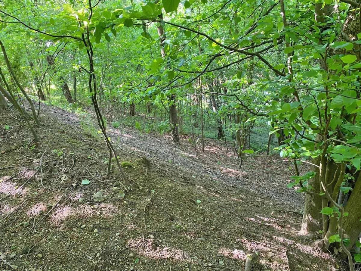 Grundstück kaufen in Urfahr-Umgebung – 1 341 m², € 129.000 – Bild 3 von 6
