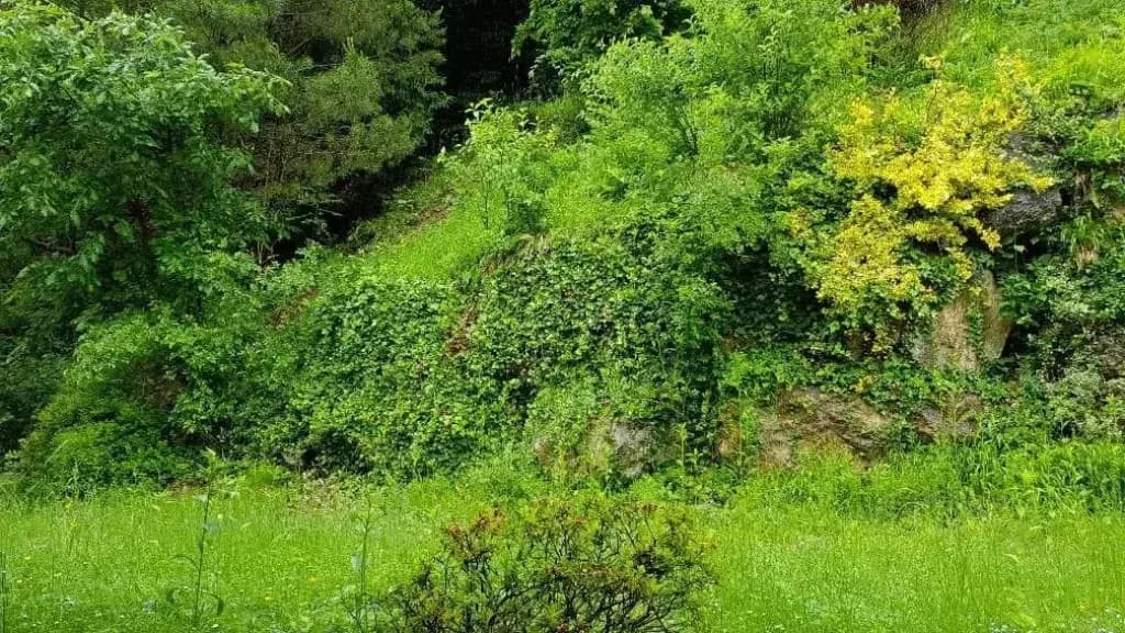 3-Zimmer-Wohnung kaufen in Graz – 76 m², € 380.000 – Bild 3 von 16