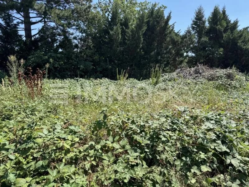 Grundstück kaufen in Korneuburg – 631 m², € 504.000 – Bild 3 von 4
