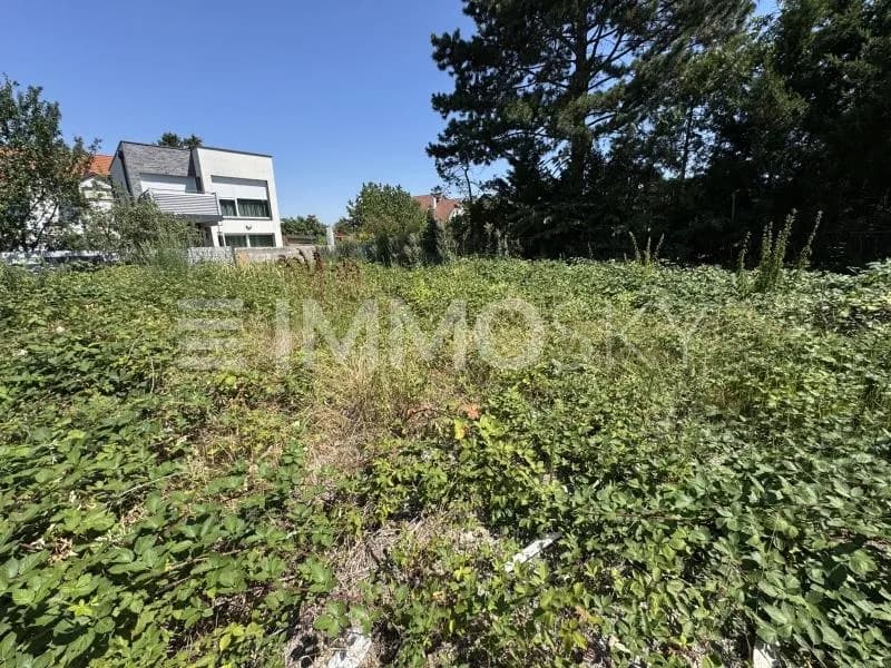 Grundstück kaufen in Korneuburg – 631 m², € 504.000 – Bild 4 von 4