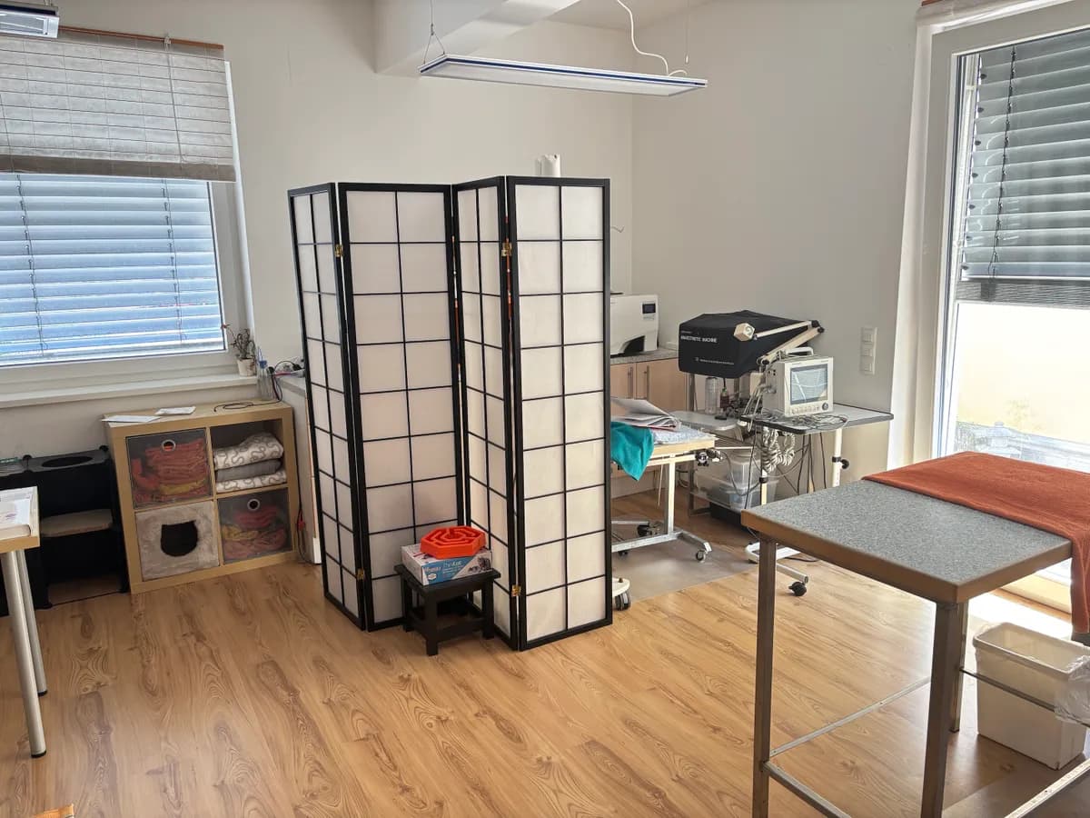 2-Zimmer-Gewerbeimmobilie mieten in Krems an der Donau – 57 m², € 850 – Bild 3 von 11