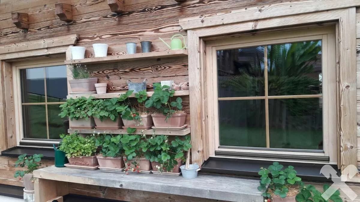 2-Zimmer-Haus kaufen in Südoststeiermark – 85 m² – Bild 5 von 18