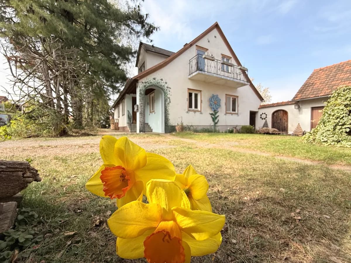 6-Zimmer-Haus kaufen in Südoststeiermark – 145 m², € 139.000 – Bild 2 von 20