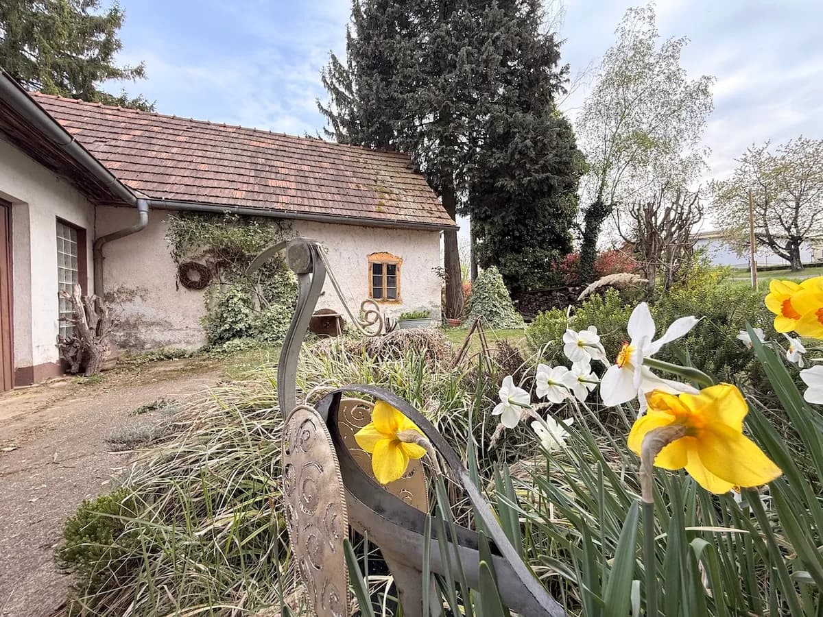 6-Zimmer-Haus kaufen in Südoststeiermark – 145 m², € 139.000 – Bild 8 von 20