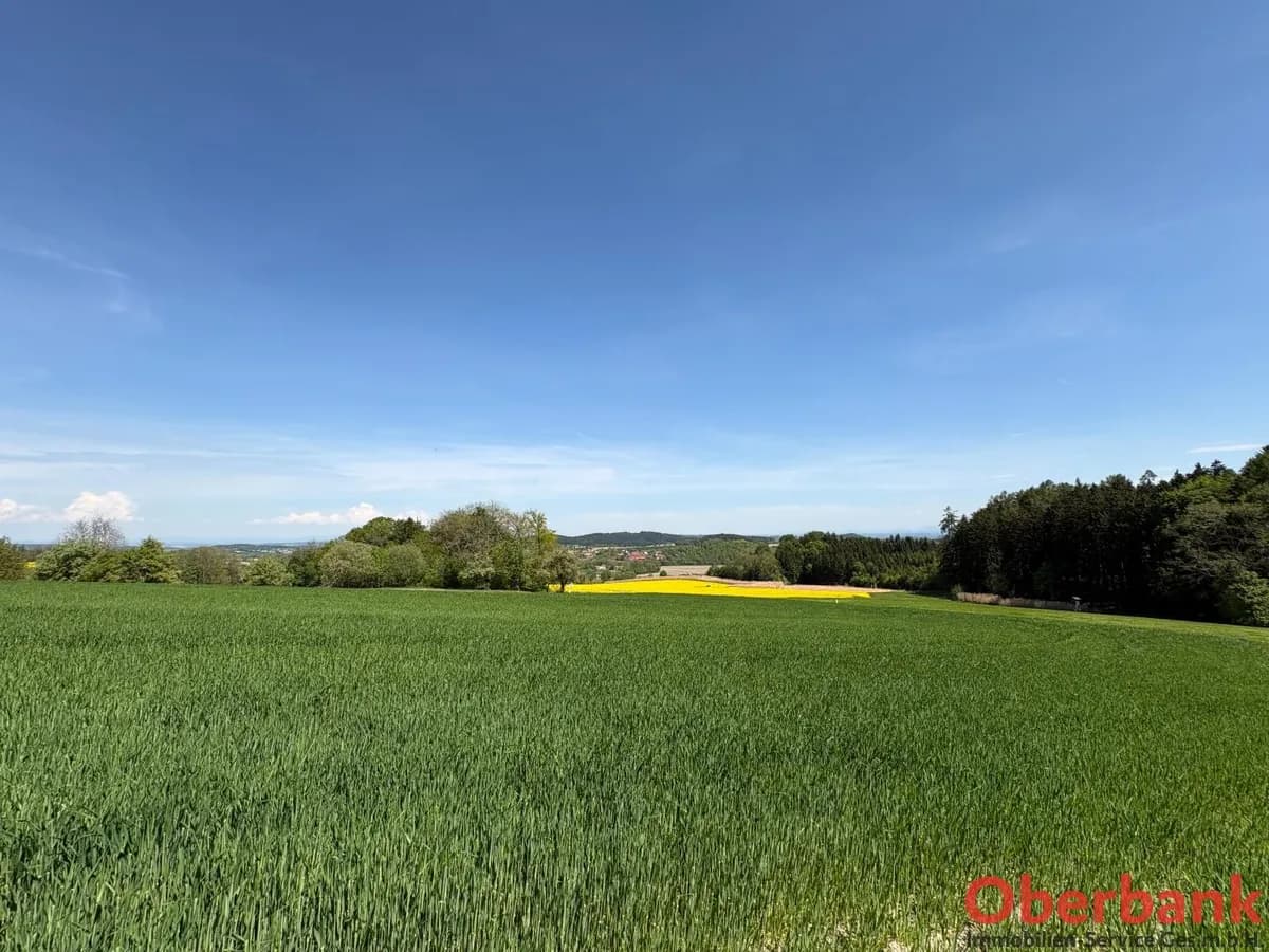 Grundstück kaufen in Vöcklabruck – 1 437 m², € 186.000 – Bild 3 von 3