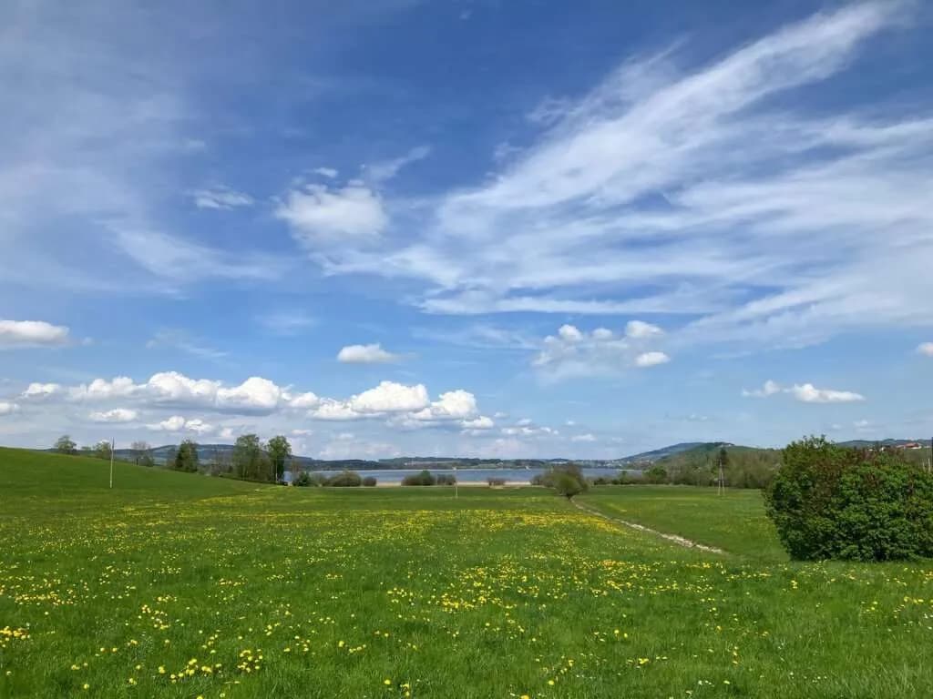 4-Zimmer-Wohnung kaufen in Salzburg-Umgebung – 108 m², € 798.000 – Bild 14 von 19