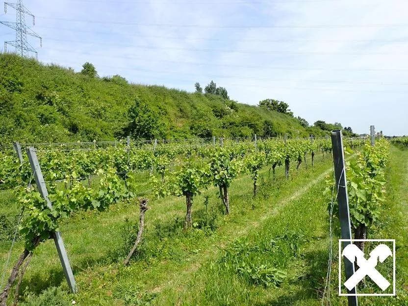Grundstück kaufen in Tulln – 53 753 m², € 450.000 – Bild 3 von 14