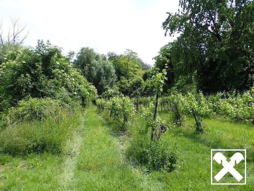 Grundstück kaufen in Tulln – 53 753 m², € 450.000 – Bild 5 von 14