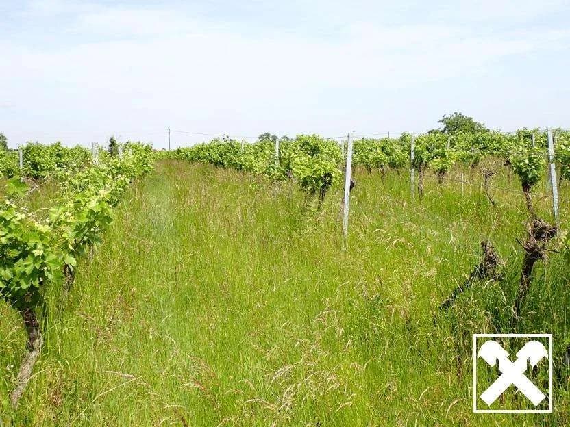 Grundstück kaufen in Tulln – 53 753 m², € 450.000 – Bild 10 von 14