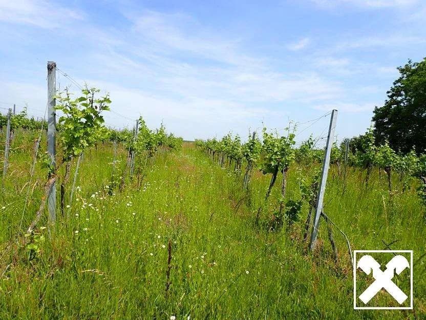 Grundstück kaufen in Tulln – 53 753 m², € 450.000 – Bild 11 von 14