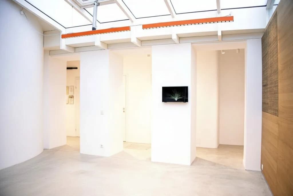 Gewerbeimmobilie mieten in Wien – 285 m², € 2.658 – Bild 6 von 12