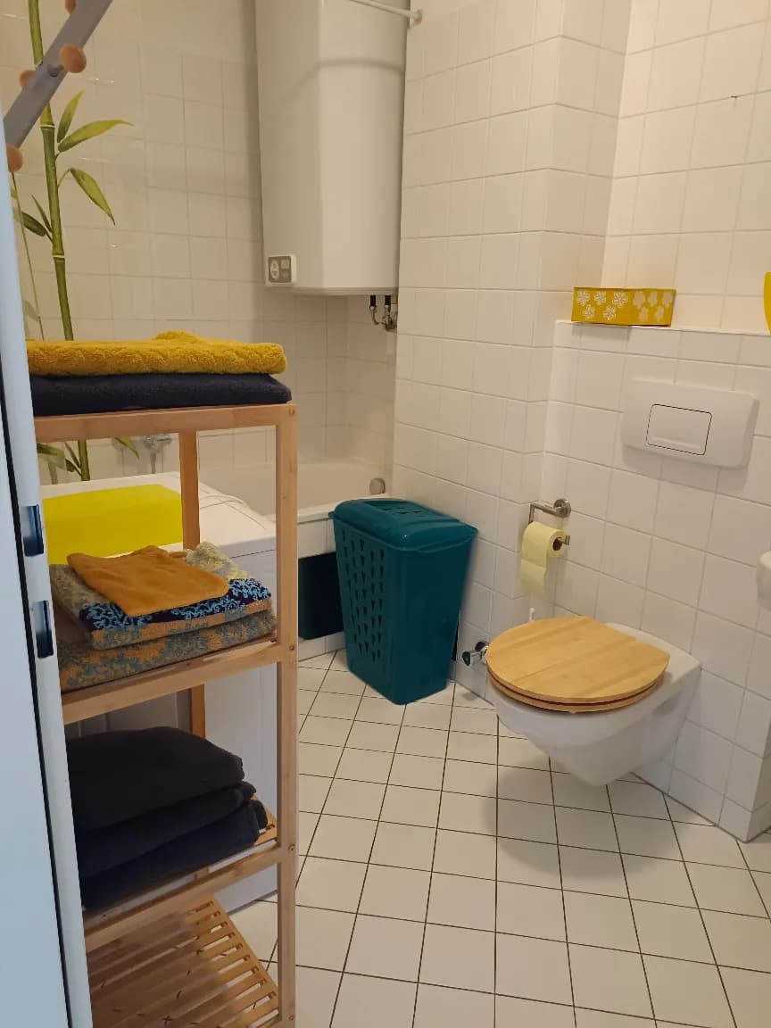1-Zimmer-Wohnung mieten in Wels-Land – 27 m², € 550 – Bild 4 von 9