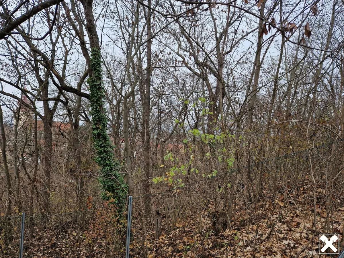 Grundstück kaufen in Hollabrunn – 2 138 m², € 199.000 – Bild 7 von 9