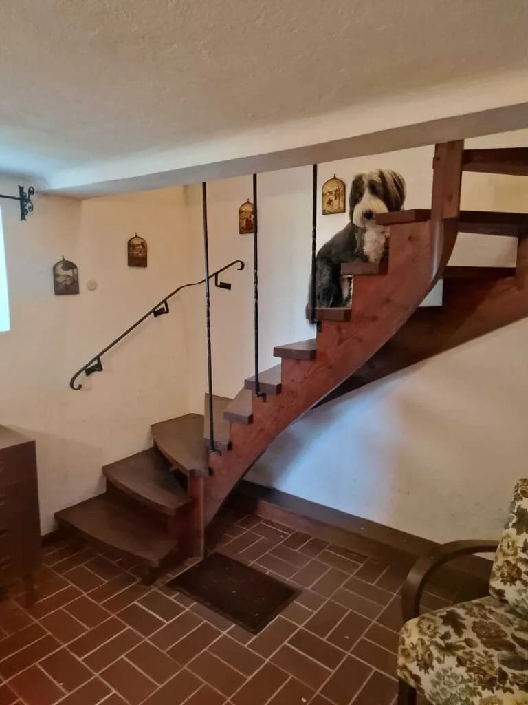 3-Zimmer-Haus kaufen in Mattersburg – 80 m², € 350.000 – Bild 10 von 16