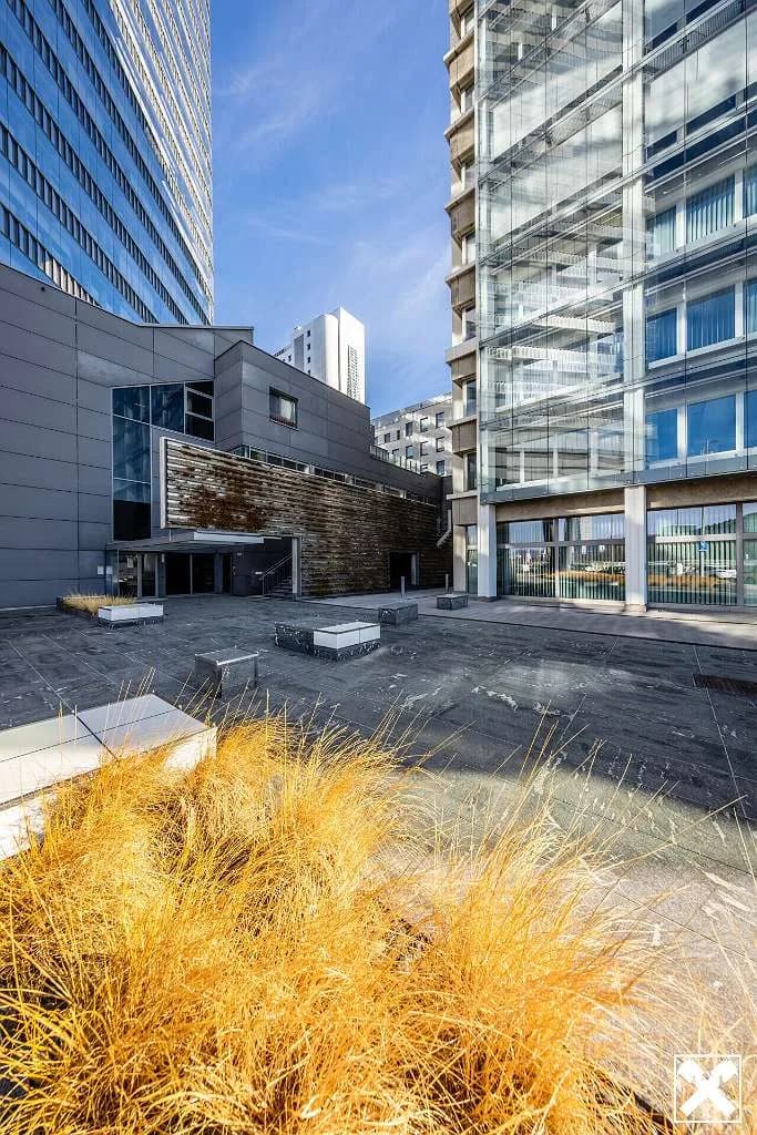 Gewerbeimmobilie mieten in Wien – 8 850 m² – Bild 4 von 25