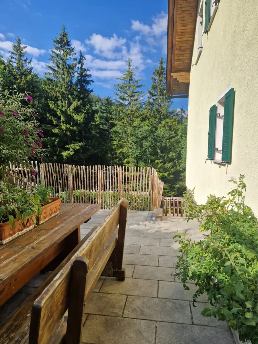 5-Zimmer-Haus kaufen in Scheibbs – 145 m², € 349.000 – Bild 7 von 39