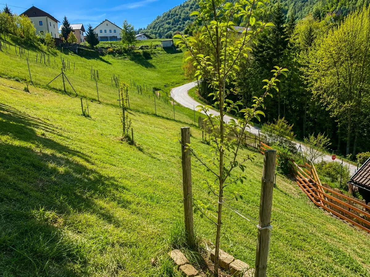5-Zimmer-Haus kaufen in Scheibbs – 145 m², € 349.000 – Bild 9 von 39
