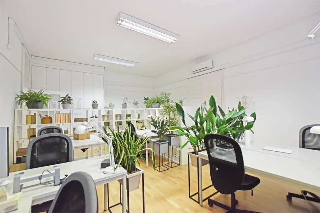 Gewerbeimmobilie mieten in Wien – 49 m² – Bild 6 von 11