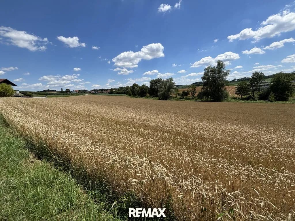 Grundstück kaufen in Schärding – 1 778 m² – Bild 2 von 5