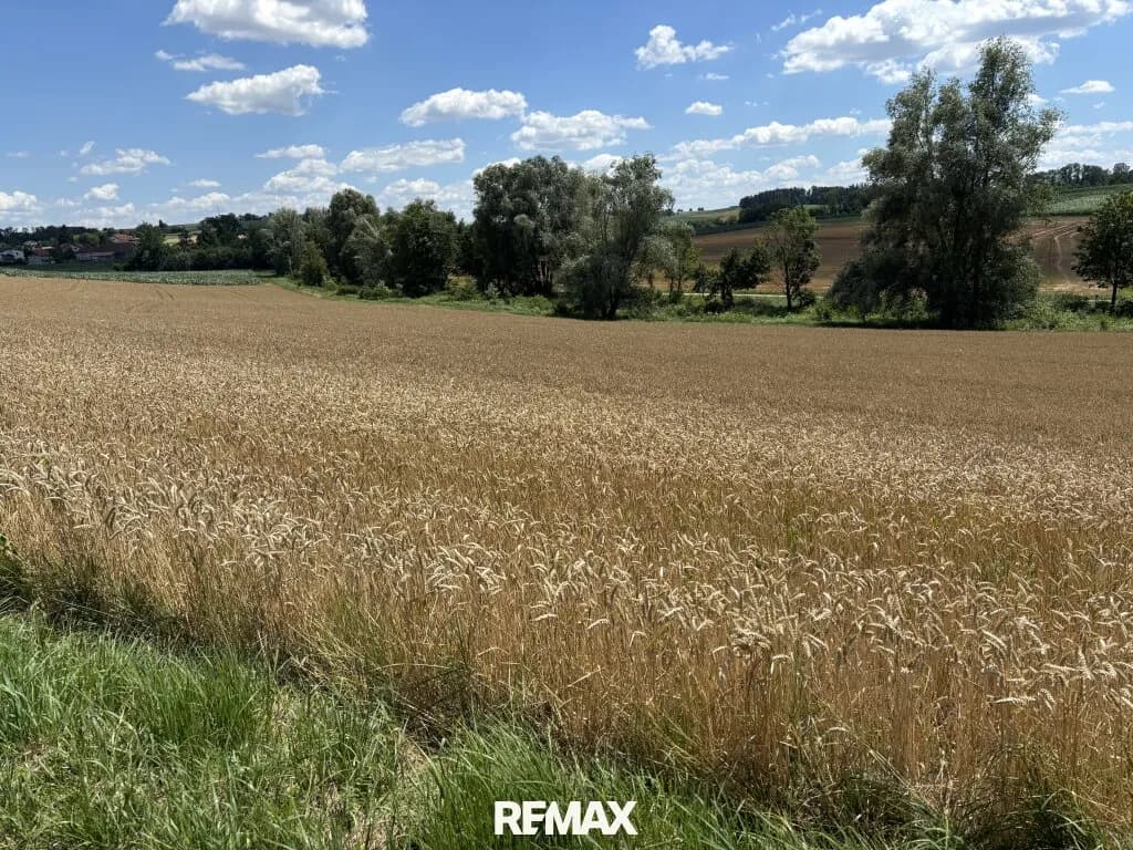 Grundstück kaufen in Schärding – 1 778 m² – Bild 3 von 5