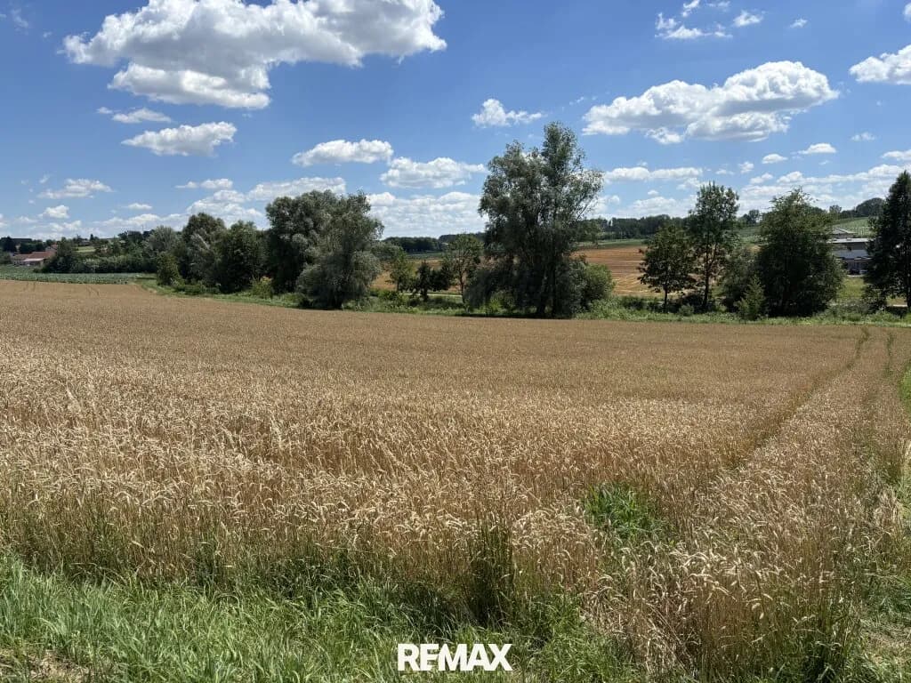 Grundstück kaufen in Schärding – 1 778 m² – Bild 4 von 5
