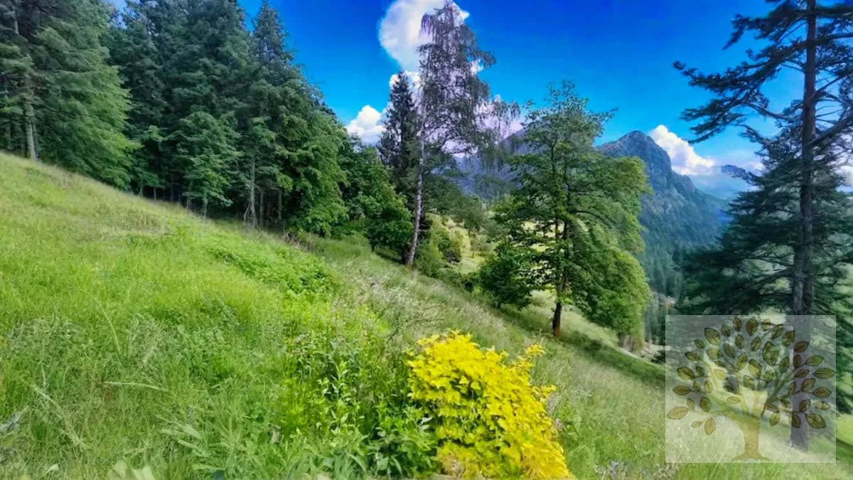 Grundstück kaufen in Villach Land – 4 181 m² – Bild 2 von 9
