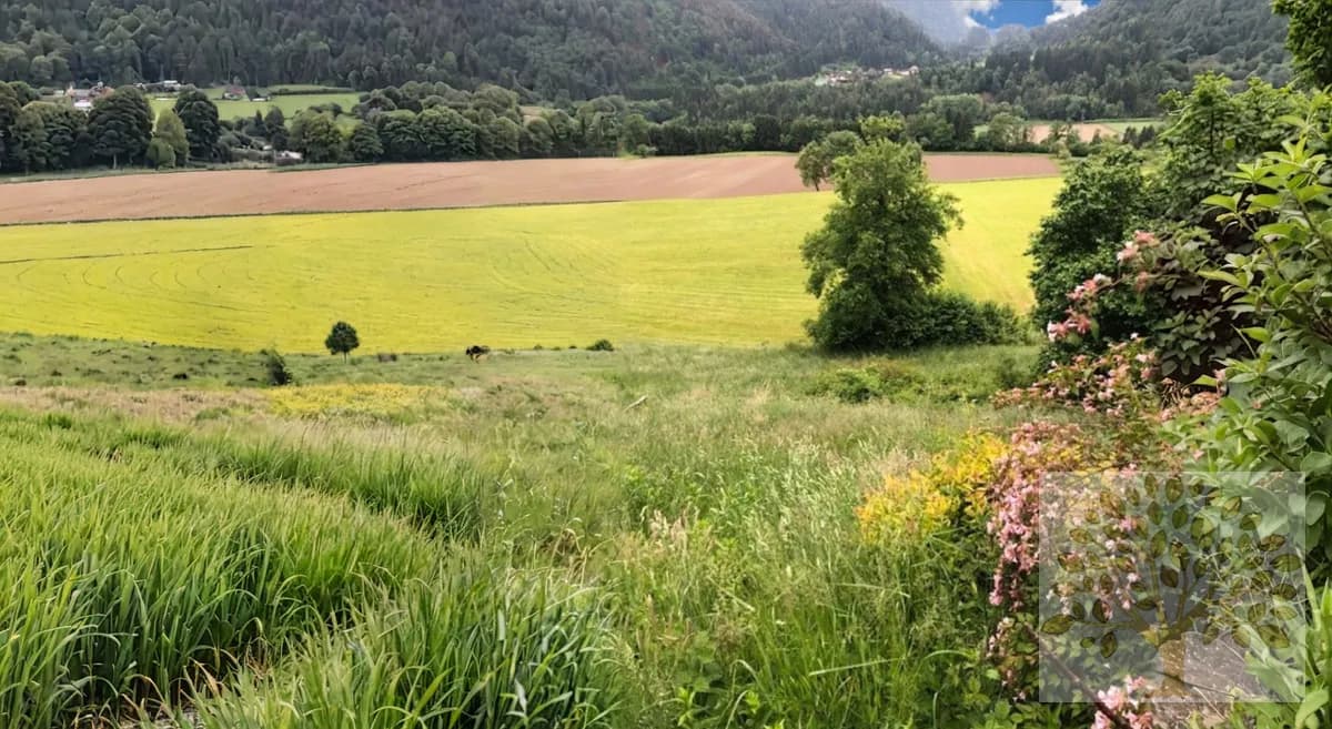 Grundstück kaufen in Villach Land – 4 181 m² – Bild 4 von 9
