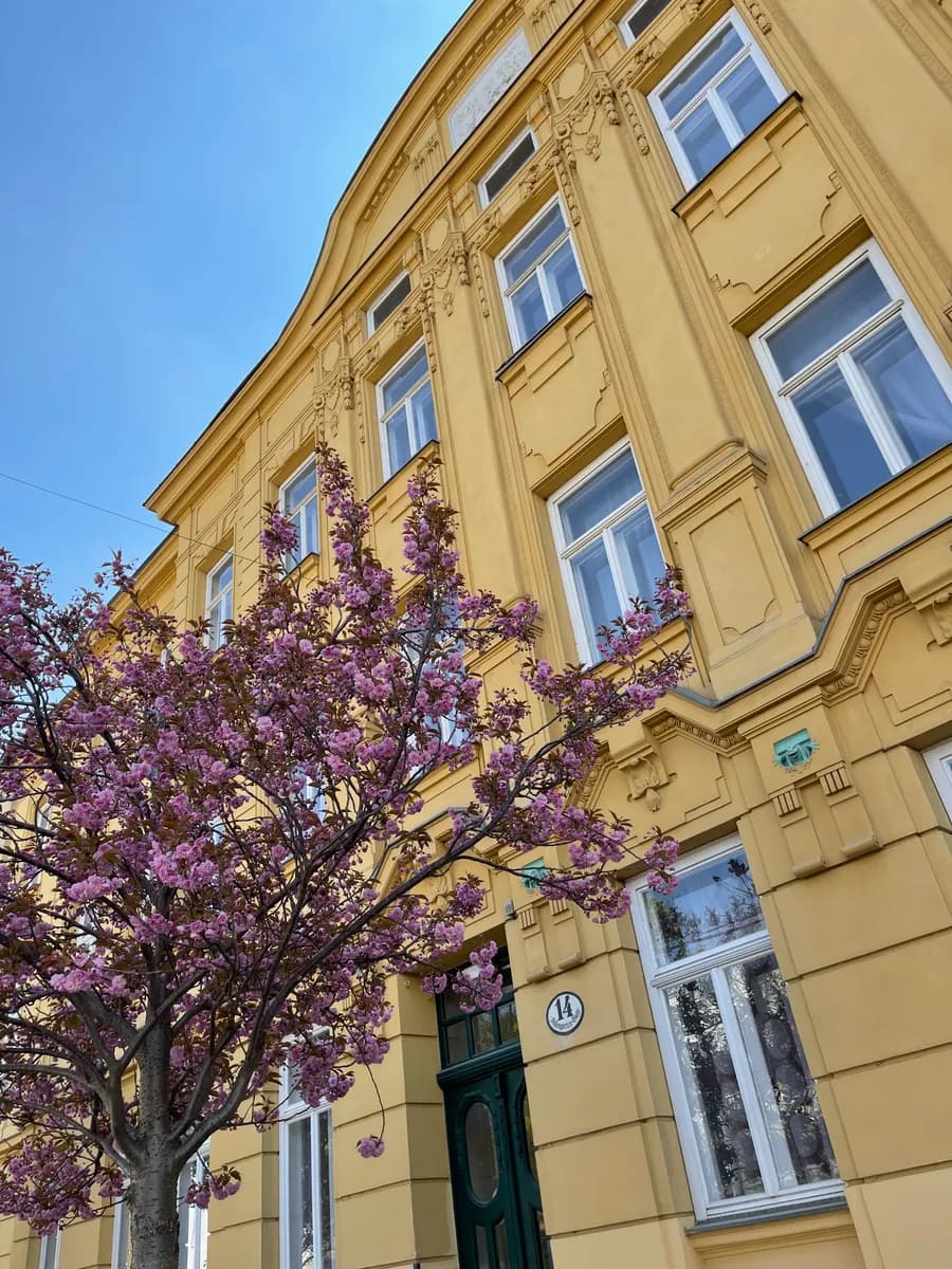 2-Zimmer-Wohnung mieten in Wien – 50 m², € 1.250 – Bild 15 von 25
