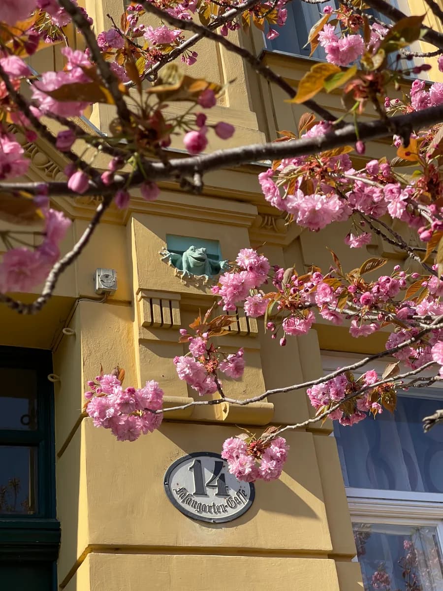 2-Zimmer-Wohnung mieten in Wien – 50 m², € 1.250 – Bild 17 von 25