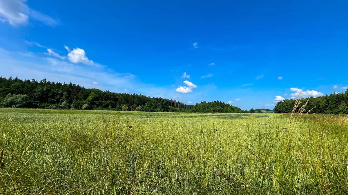 Grundstück kaufen in Wels – 39 772 m², € 900.000