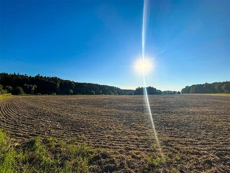 Grundstück kaufen in Wels – 39 772 m², € 900.000 – Bild 5 von 8