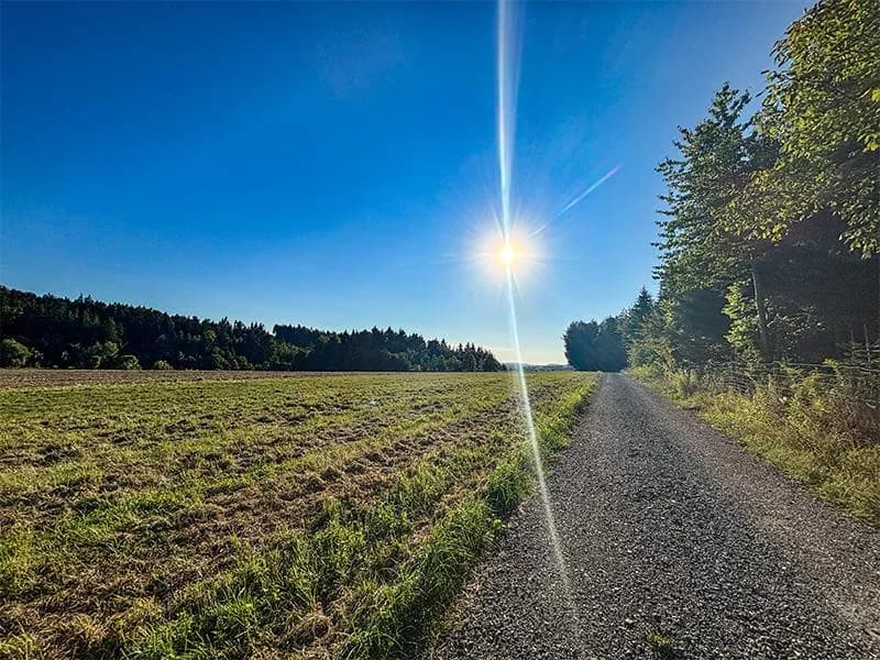 Grundstück kaufen in Wels – 39 772 m², € 900.000 – Bild 6 von 8