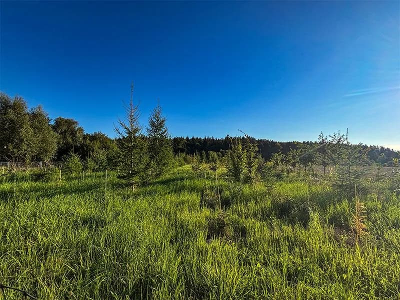 Grundstück kaufen in Wels – 39 772 m², € 900.000 – Bild 7 von 8