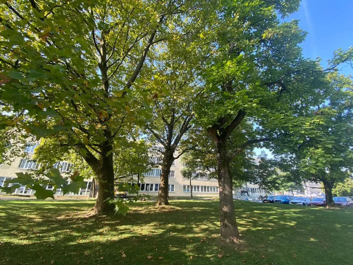 Gewerbeimmobilie mieten in Linz – 248 m², € 2.742 – Bild 15 von 16