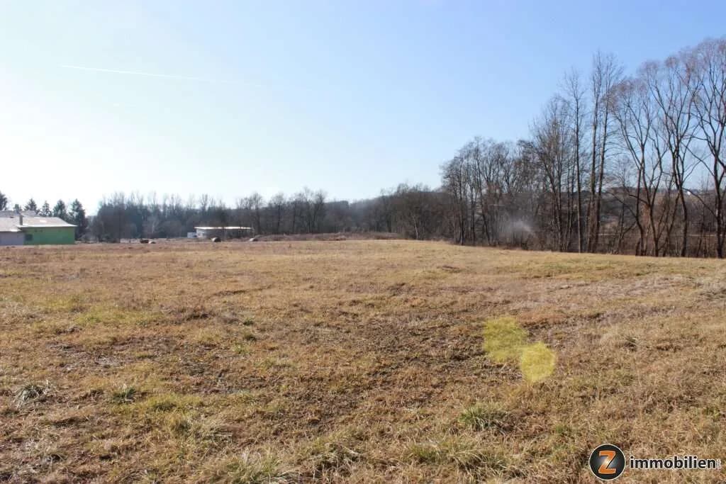 Immobilie kaufen in Güssing – 7 986 m² – Bild 2 von 6