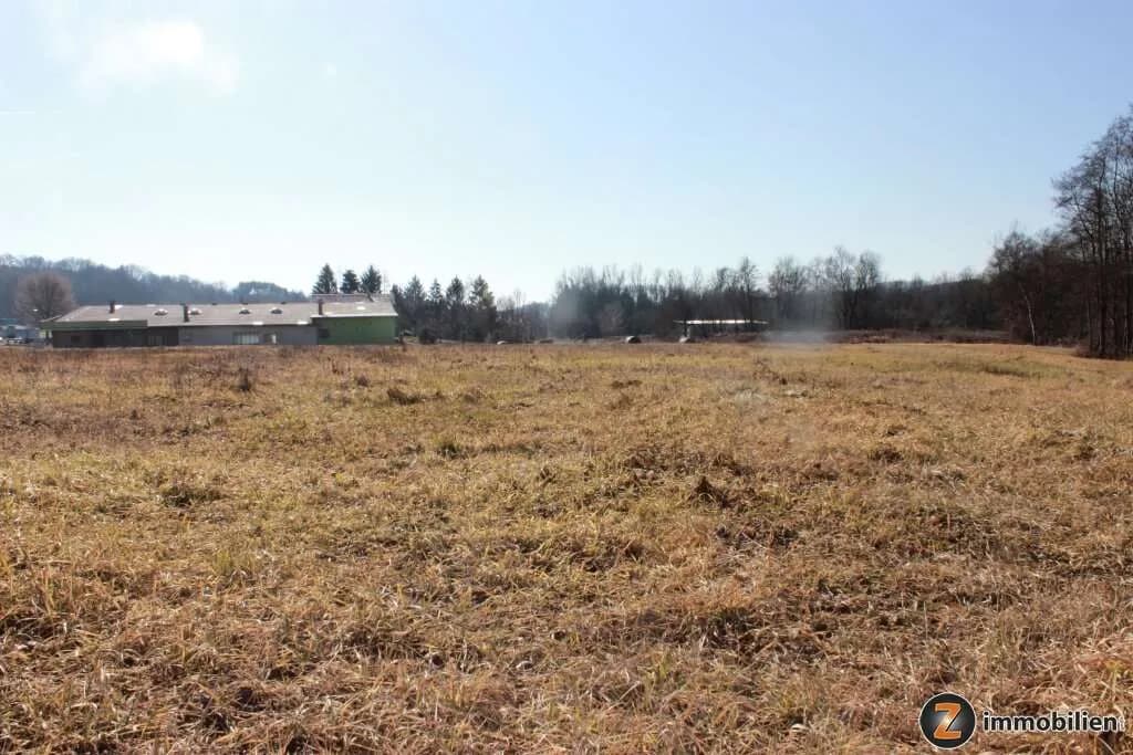 Immobilie kaufen in Güssing – 7 986 m² – Bild 5 von 6