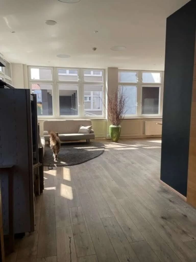 Gewerbeimmobilie mieten in Wien – 269,42 m², € 5.046 – Bild 5 von 11