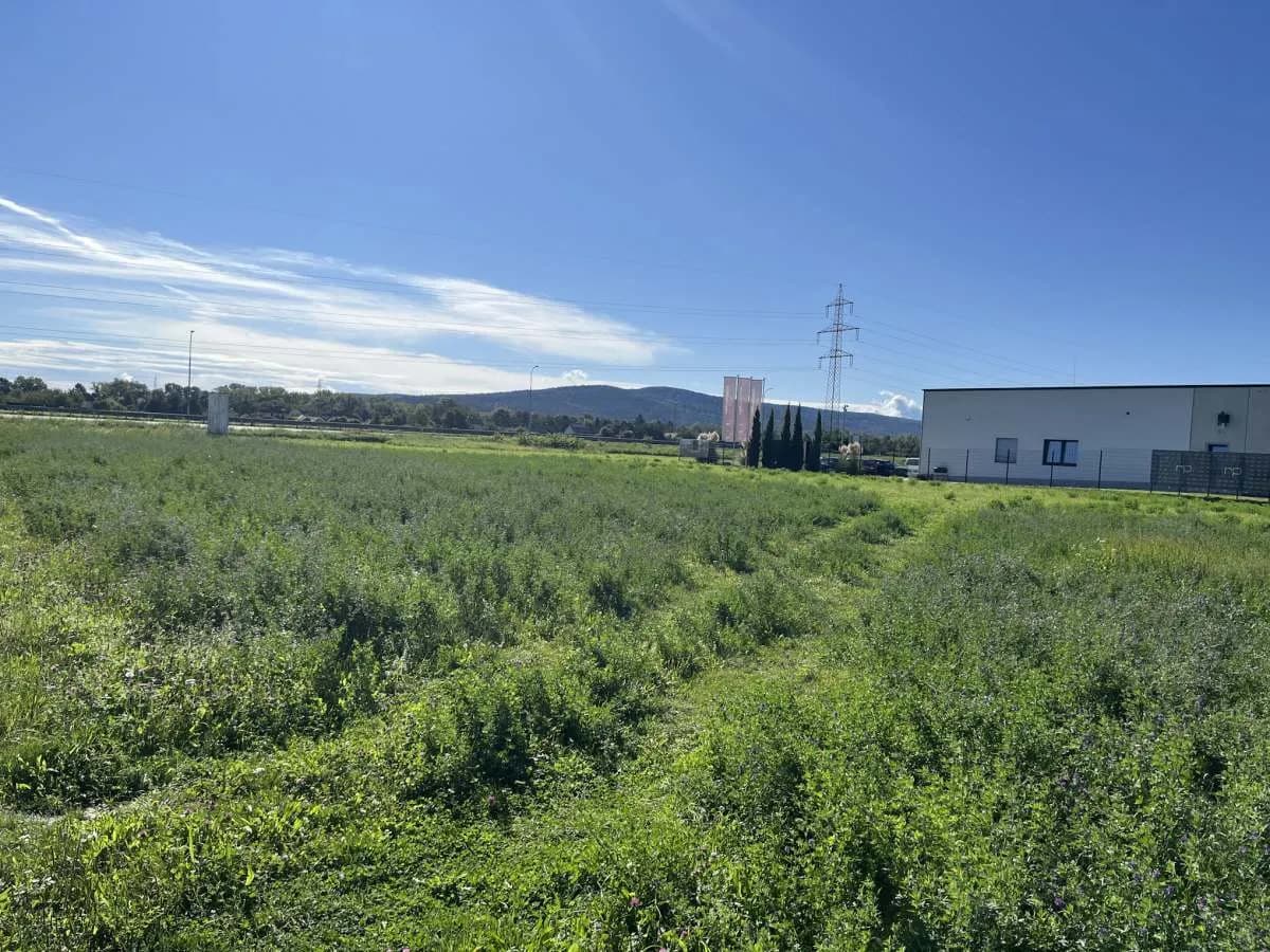 Immobilie mieten in Wiener Neustadt – 2 879 m², € 2.700