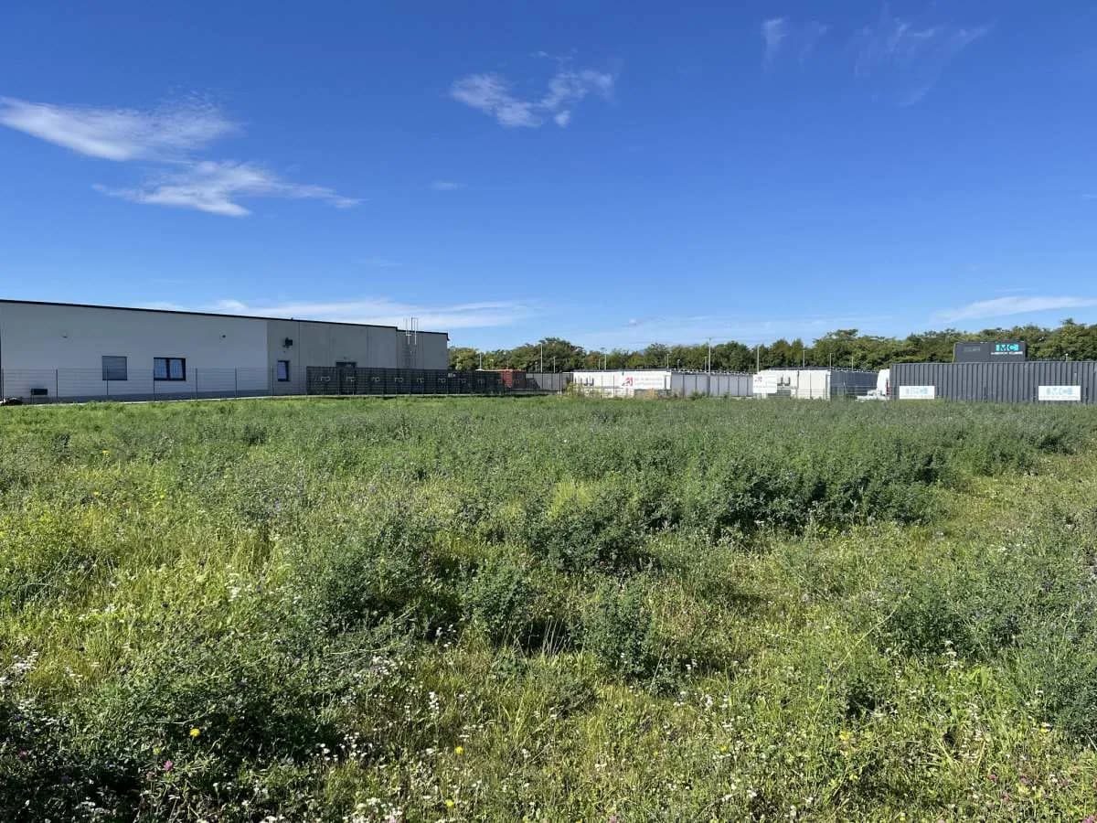 Immobilie mieten in Wiener Neustadt – 2 879 m², € 2.700 – Bild 2 von 6