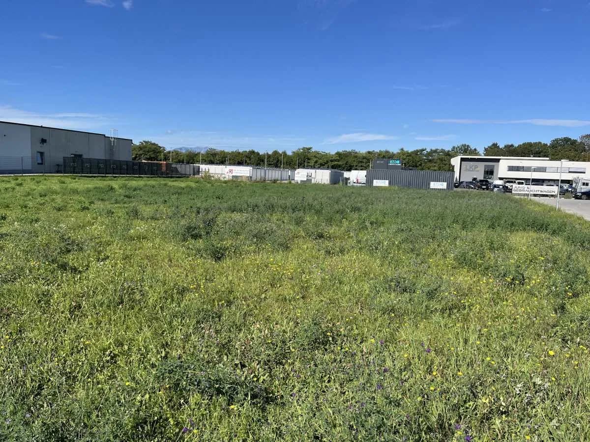 Immobilie mieten in Wiener Neustadt – 2 879 m², € 2.700 – Bild 3 von 6