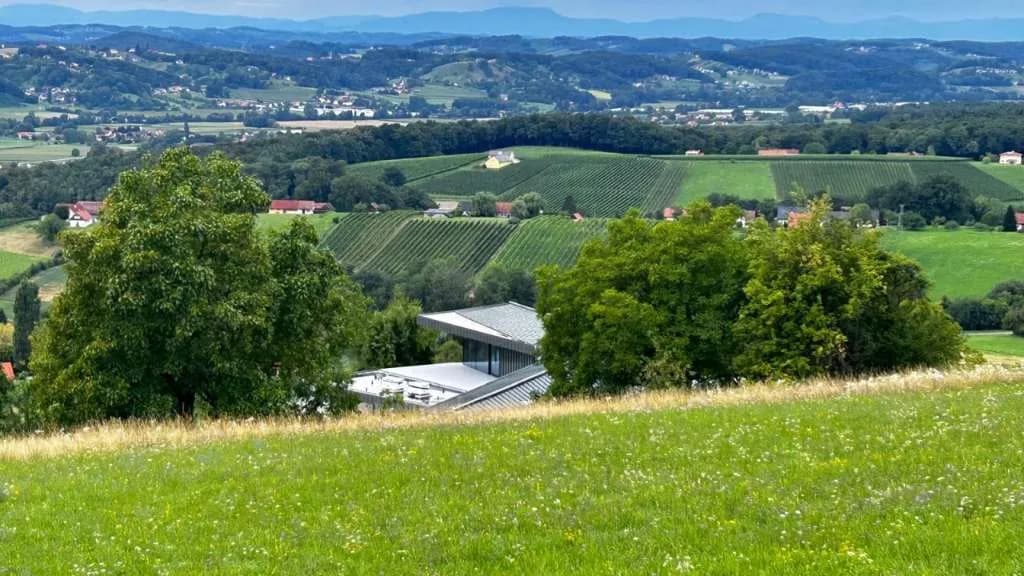 Grundstück kaufen in Südoststeiermark – 2 000 m², € 49.000