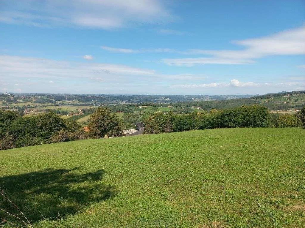 Grundstück kaufen in Südoststeiermark – 2 000 m², € 49.000 – Bild 4 von 7