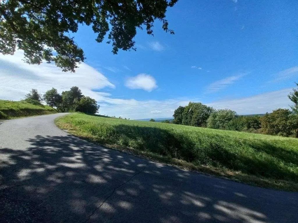 Grundstück kaufen in Südoststeiermark – 2 000 m², € 49.000 – Bild 5 von 7