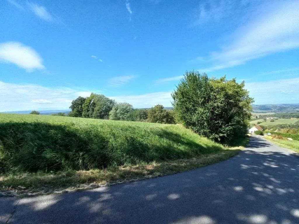 Grundstück kaufen in Südoststeiermark – 2 000 m², € 49.000 – Bild 6 von 7