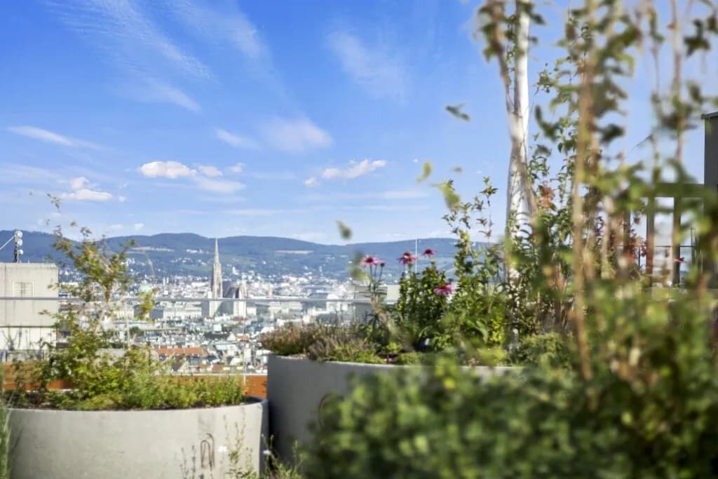 1-Zimmer-Wohnung mieten in Wien – 31 m², € 1.299 – Bild 15 von 19