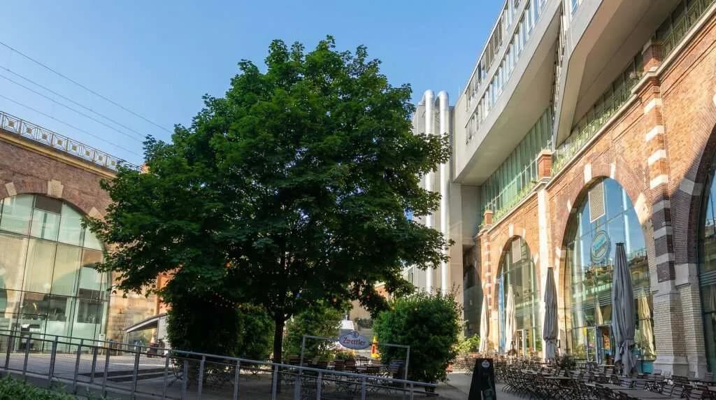 Gewerbeimmobilie mieten in Wien – 1 565 m², € 17 – Bild 4 von 6