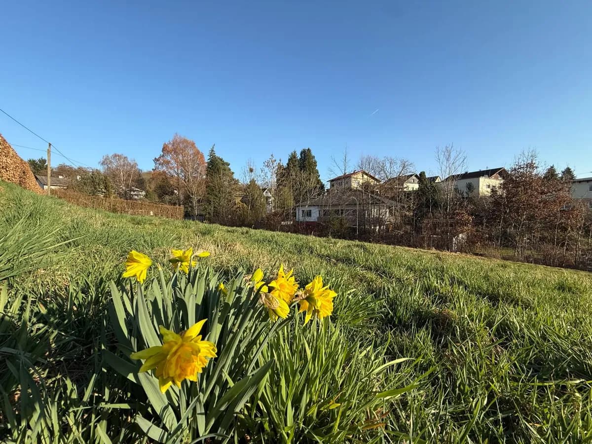 Grundstück kaufen in Perg – 513 m², € 120.000 – Bild 4 von 7