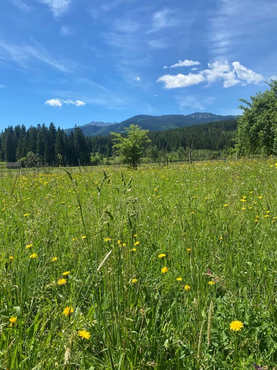 Immobilie kaufen in Liezen – 230 m², € 790.000 – Bild 9 von 30