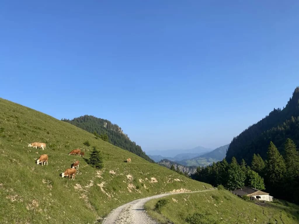 5-Zimmer-Immobilie kaufen in Kufstein – 252 819 m² – Bild 29 von 37