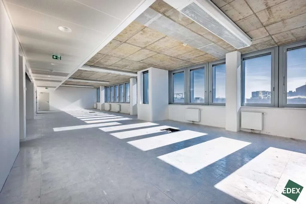Gewerbeimmobilie mieten in Wien – 1 624 m², € 17 – Bild 4 von 14